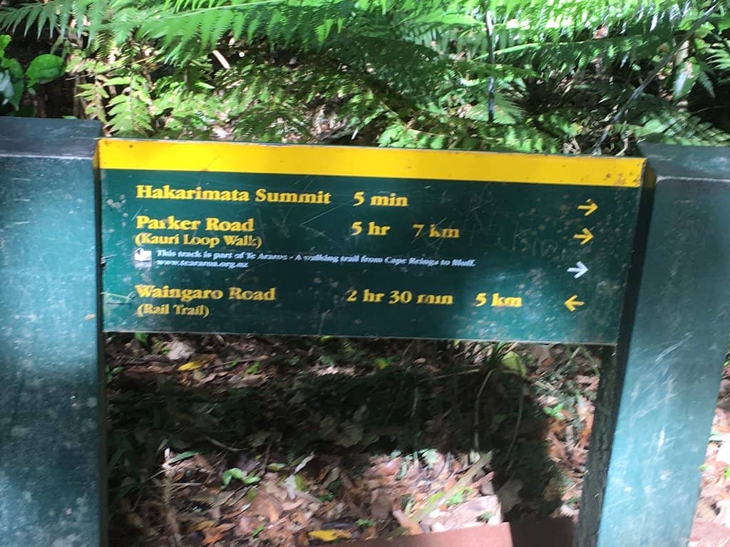 Summit Lookout Views