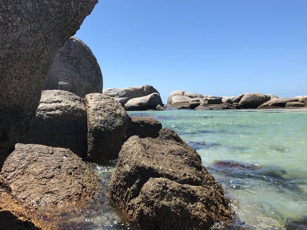 Proximity to Penguin Colony