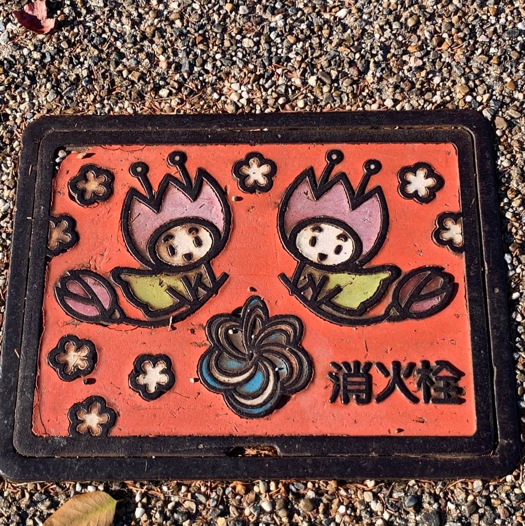 Vibrant Tulip Fields