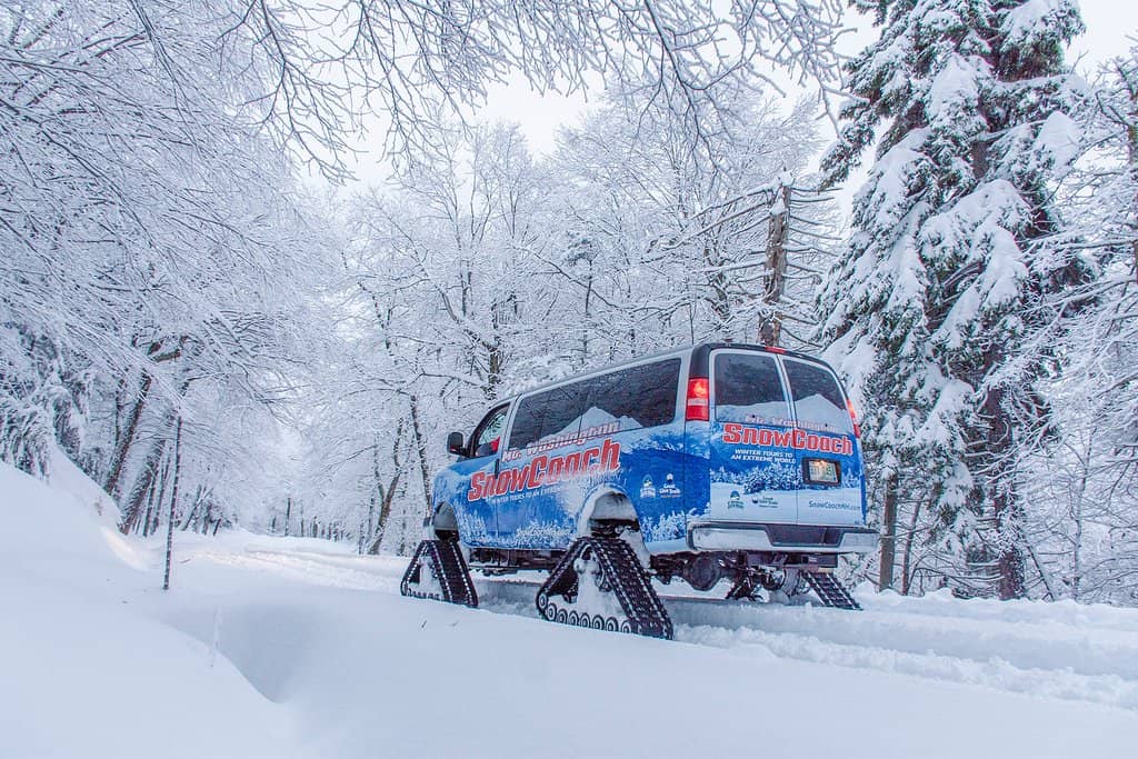 Extreme Weather Phenomenon