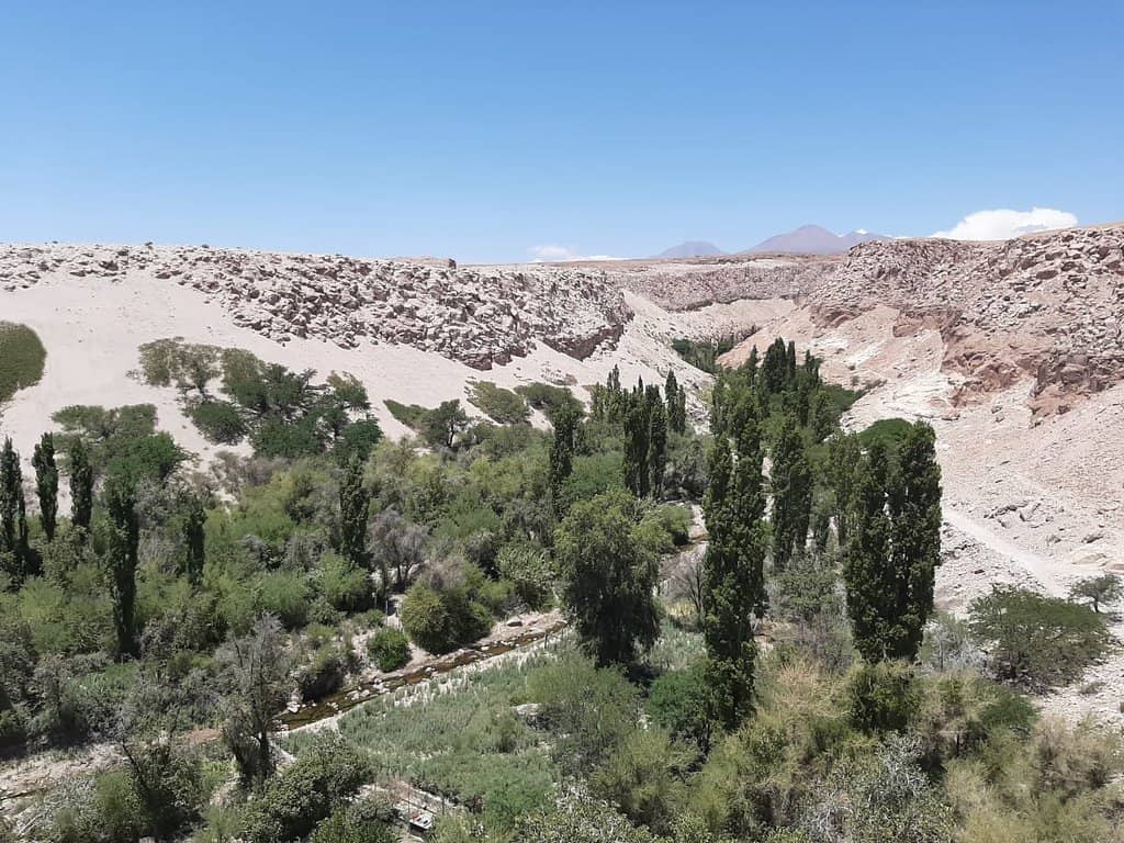 Picnic Spot by the River