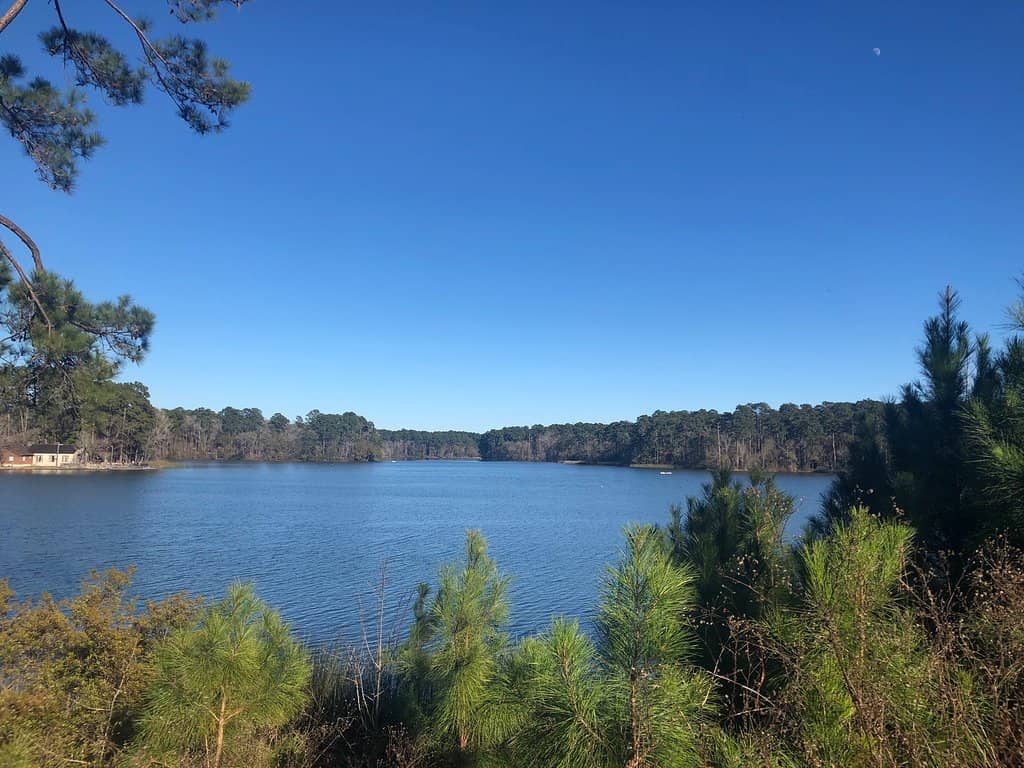 Piney Woods Trails