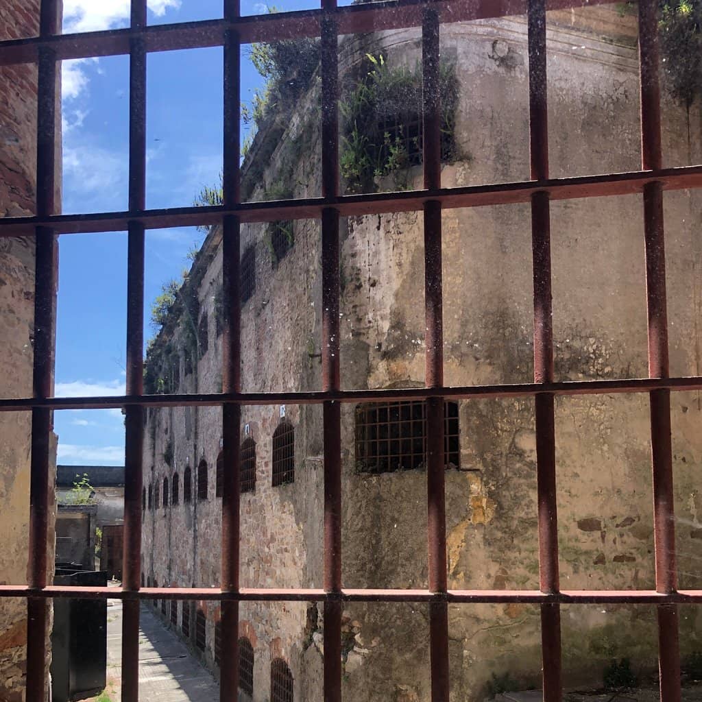 Resident Artist Showcases