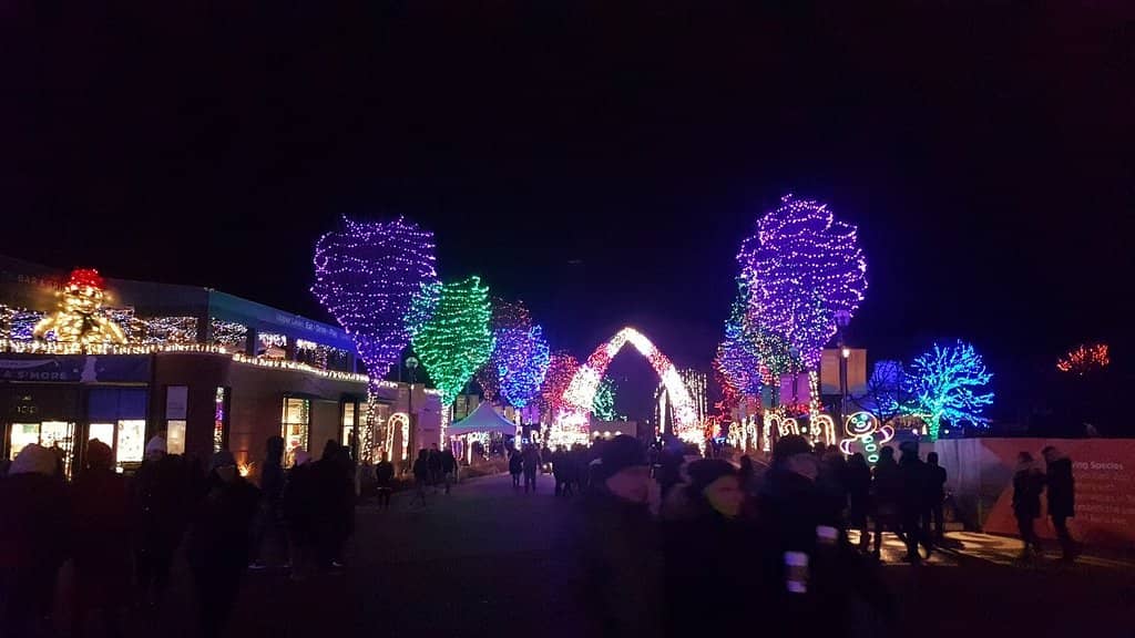Fairground Fun