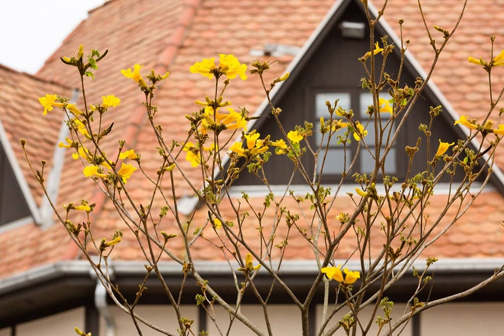 Oktoberfest Atmosphere