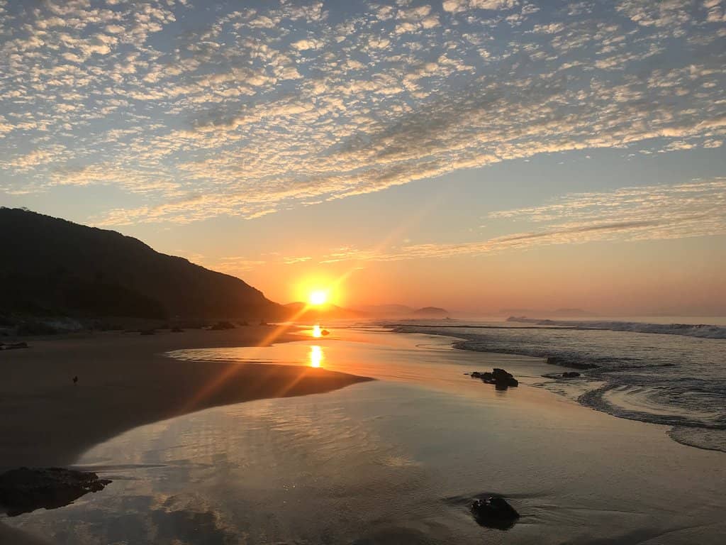 Surfing Opportunities