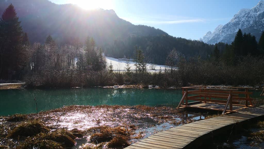 Serbian Nature's Charm