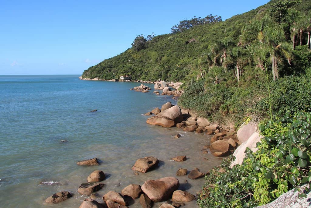 Natural Pool of Conceição