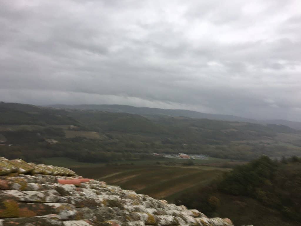 Vineyard and Olive Grove Walks