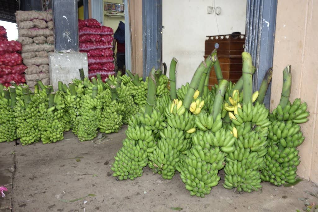 Wholesale Market Chaos