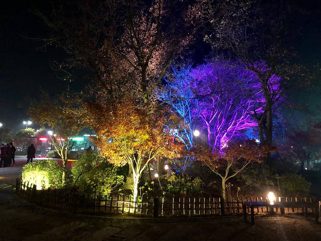 Tranquil Gardens