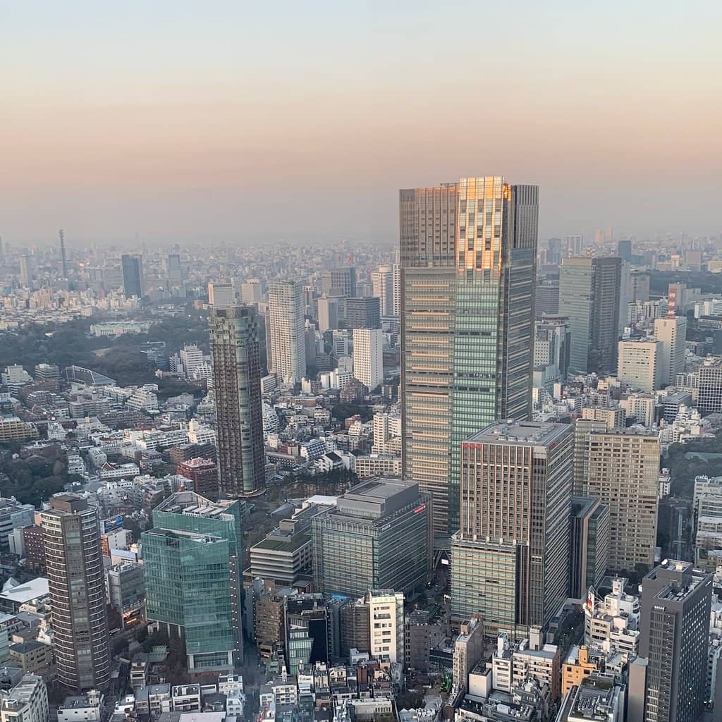 Tokyo Tower View