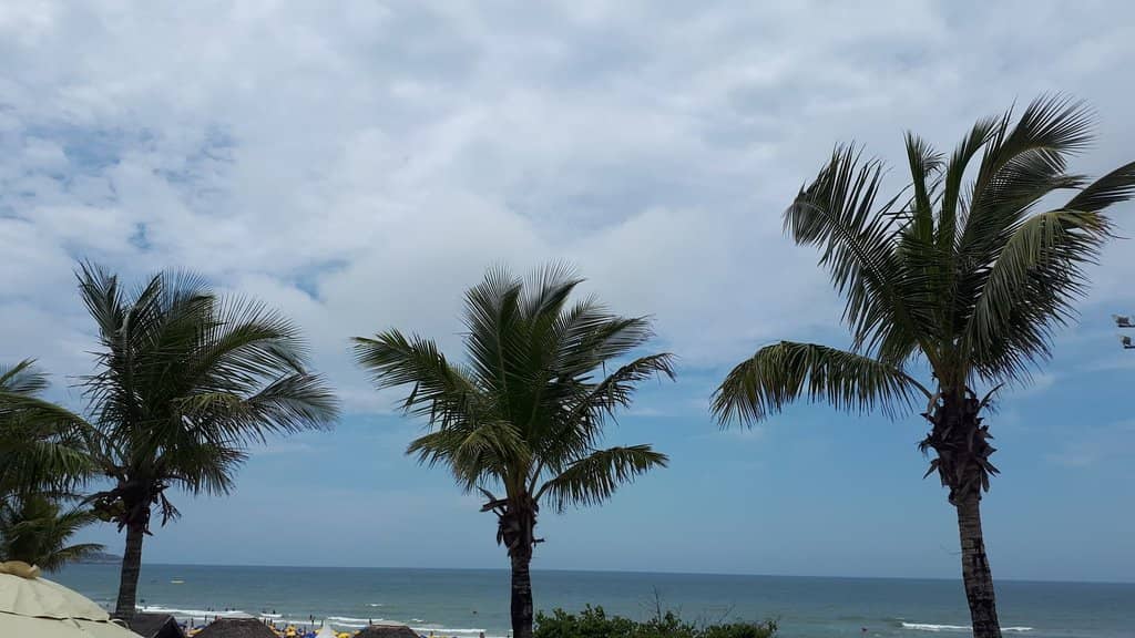 Ancient Rock Carvings