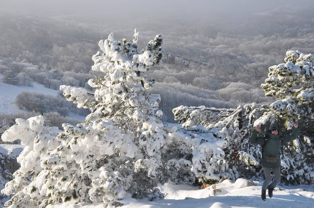 Ai-Petri Cable Car Ride