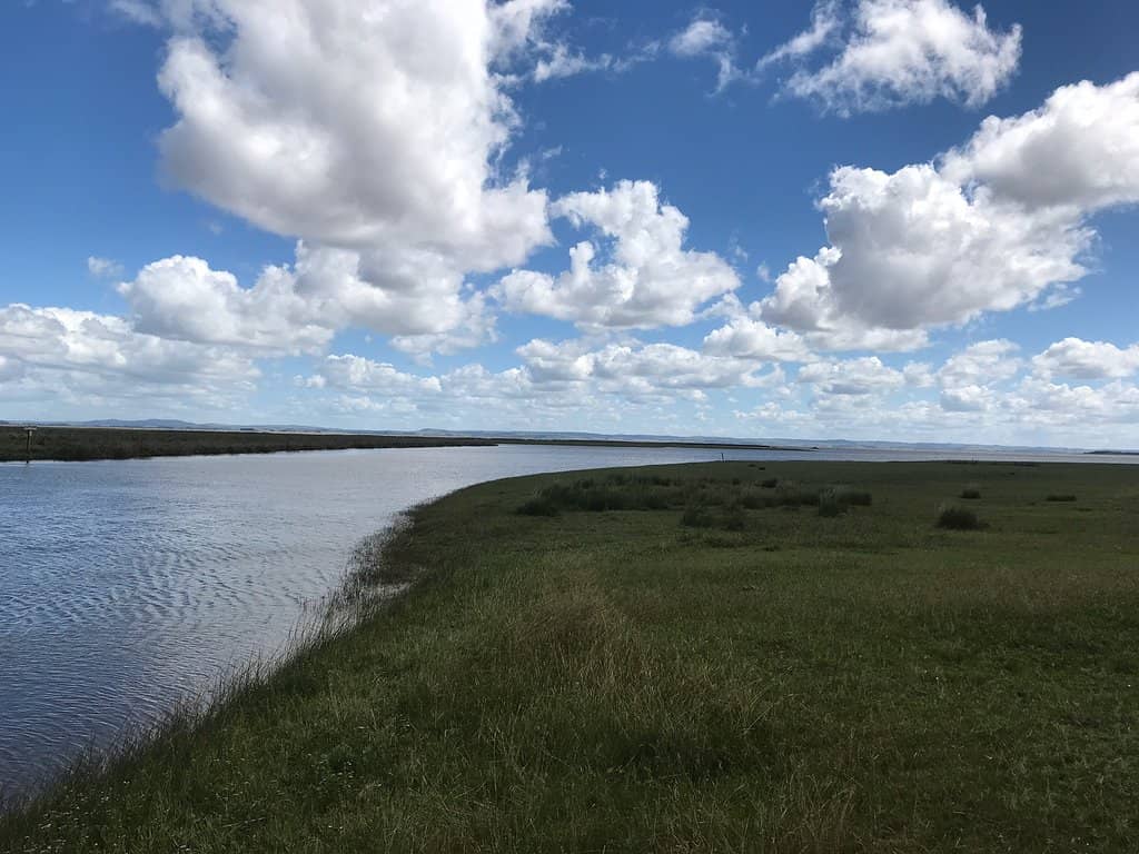 Laguna de Castillos Boat Tour