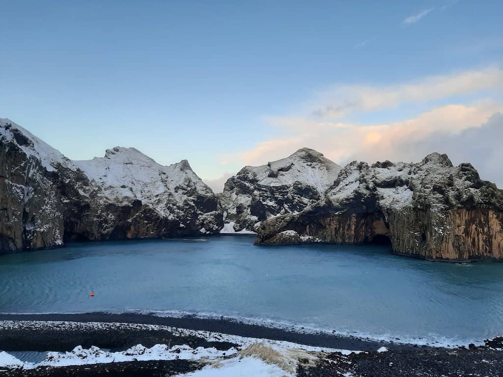 Rescued Beluga Whales