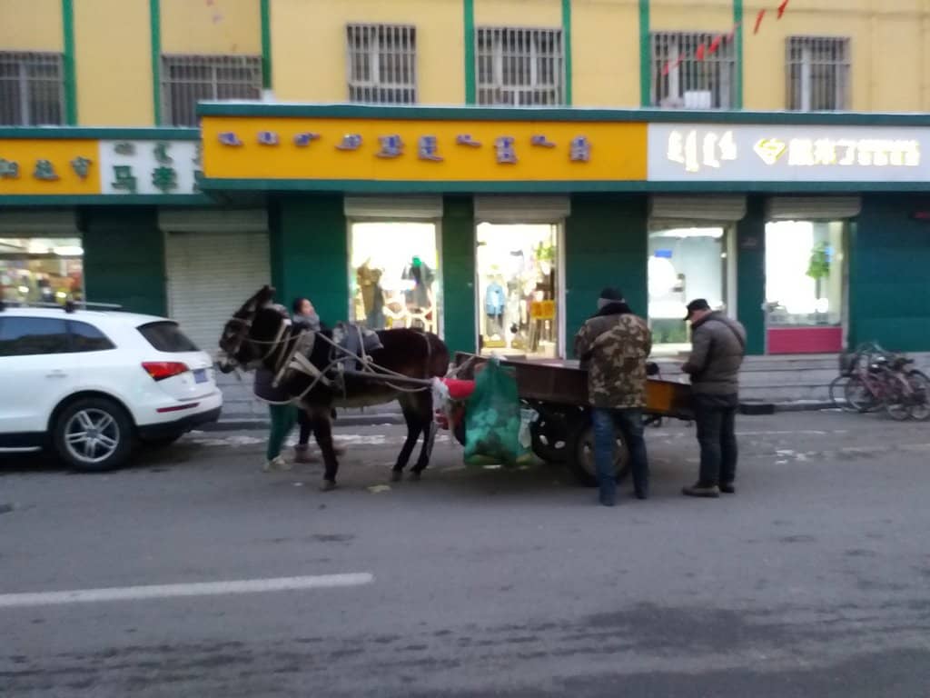 Vibrant Street Stalls