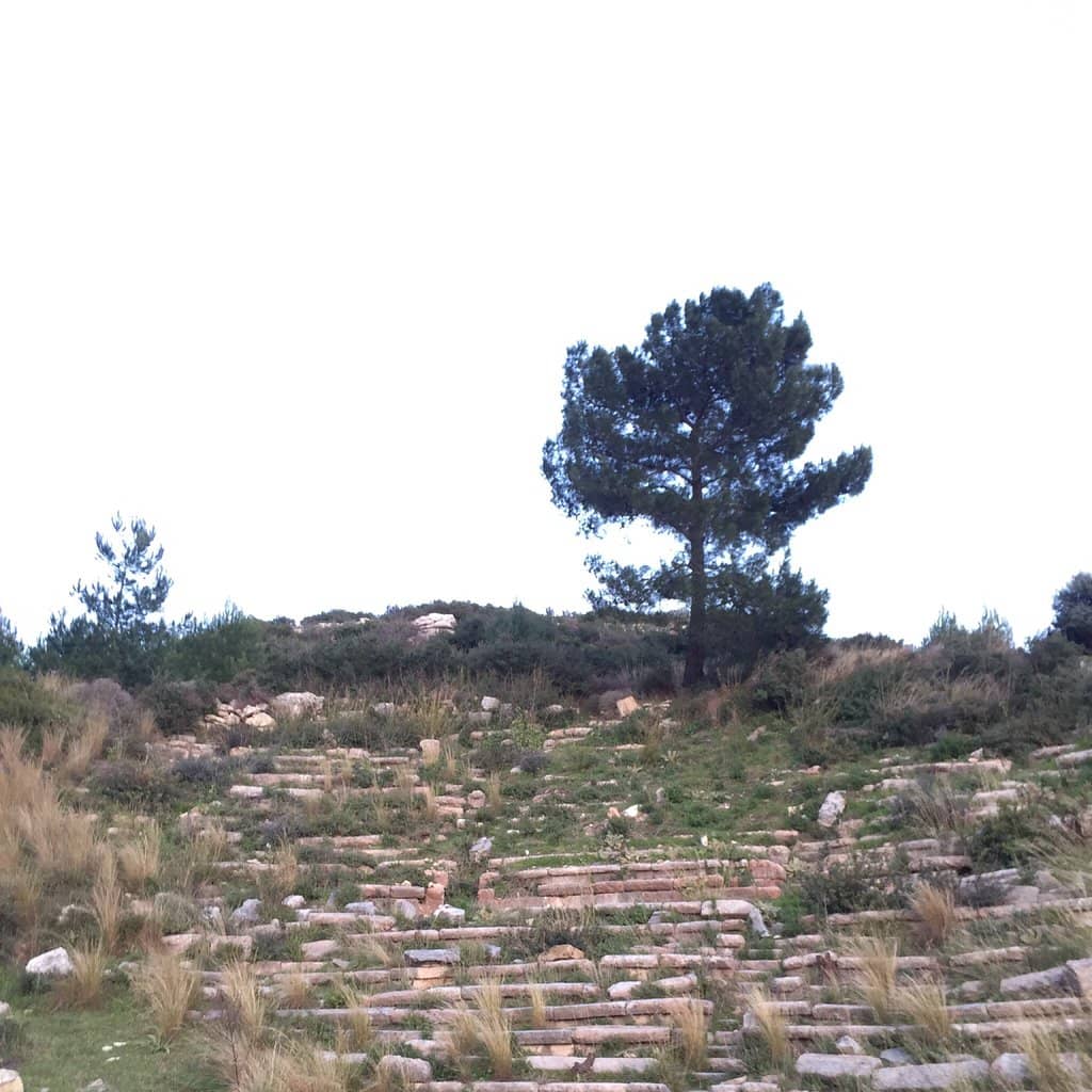 Vertical photo