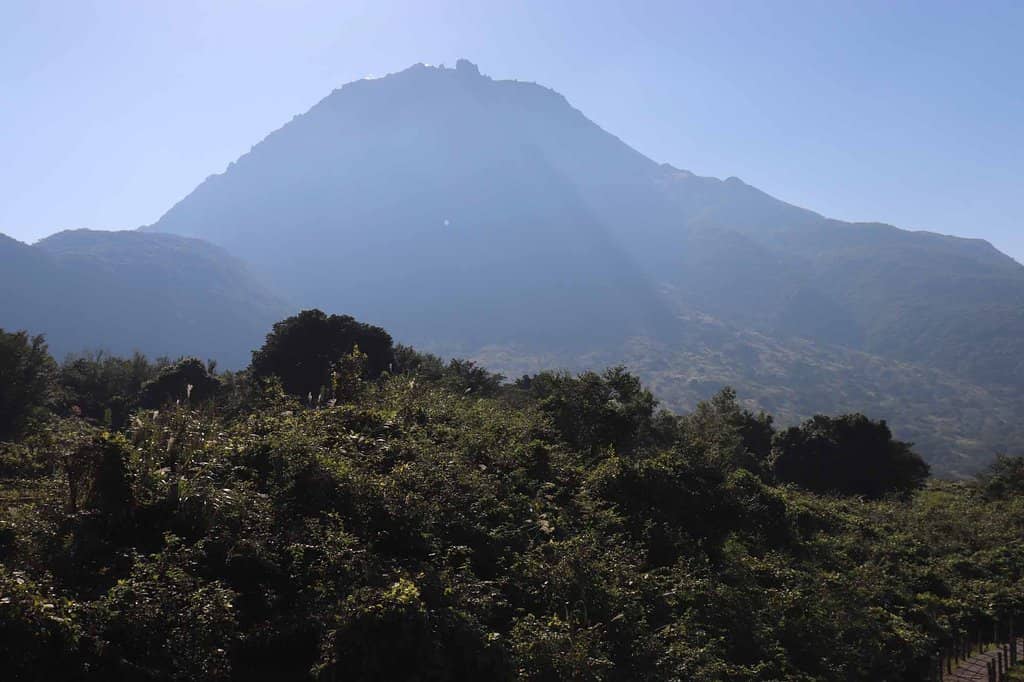 Tranquil Nature Escape