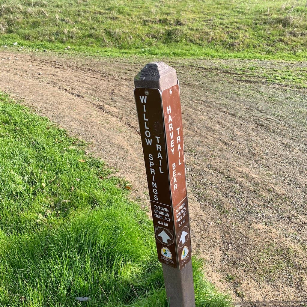 Camping Under the Stars