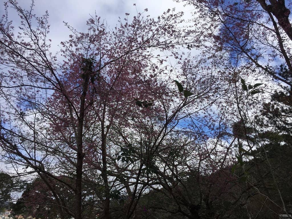 Challenging Adventure Mode Path