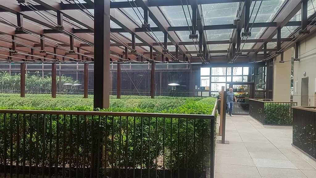 Rooftop Dining with a View