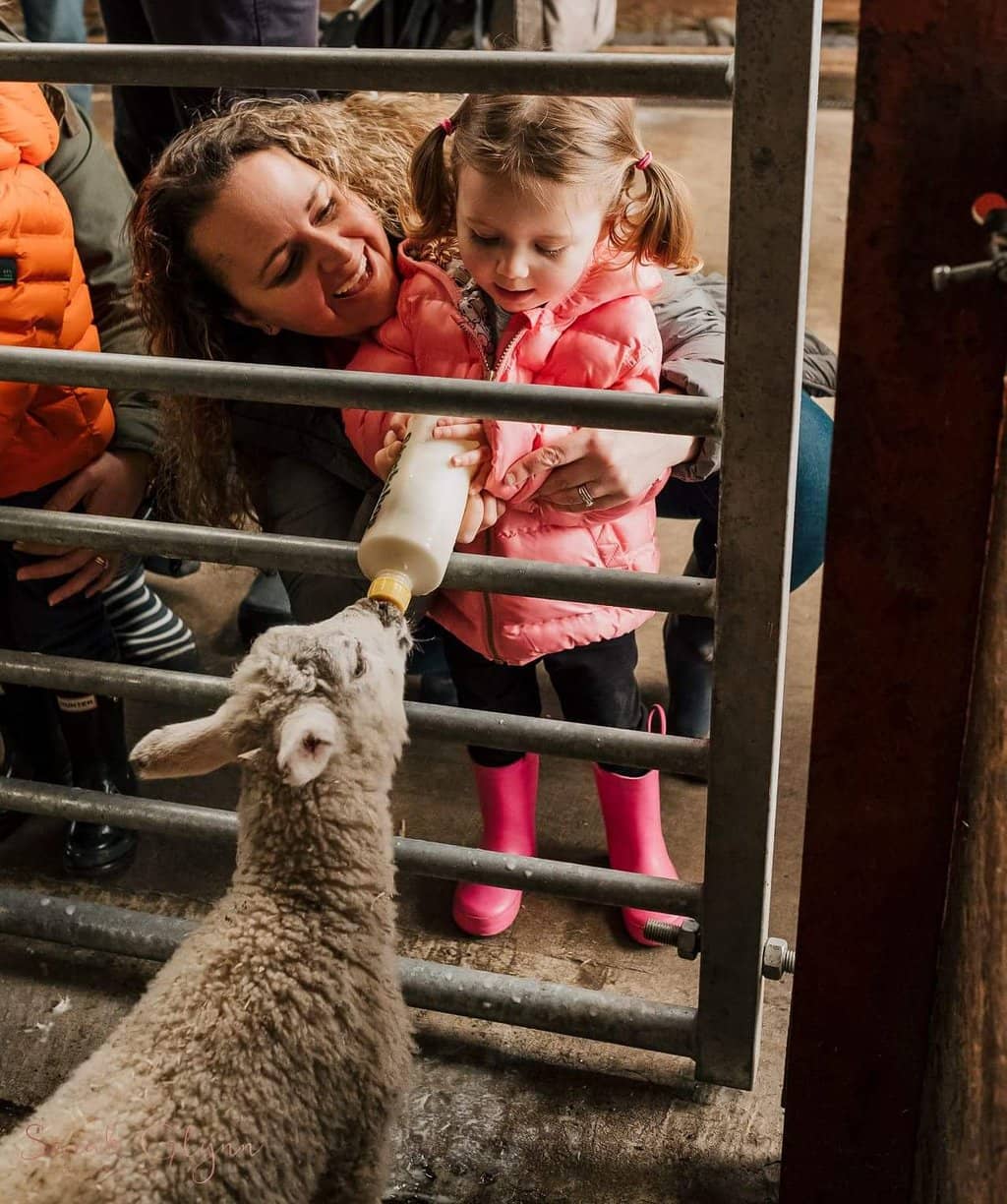 Critters 2 You Reptile House