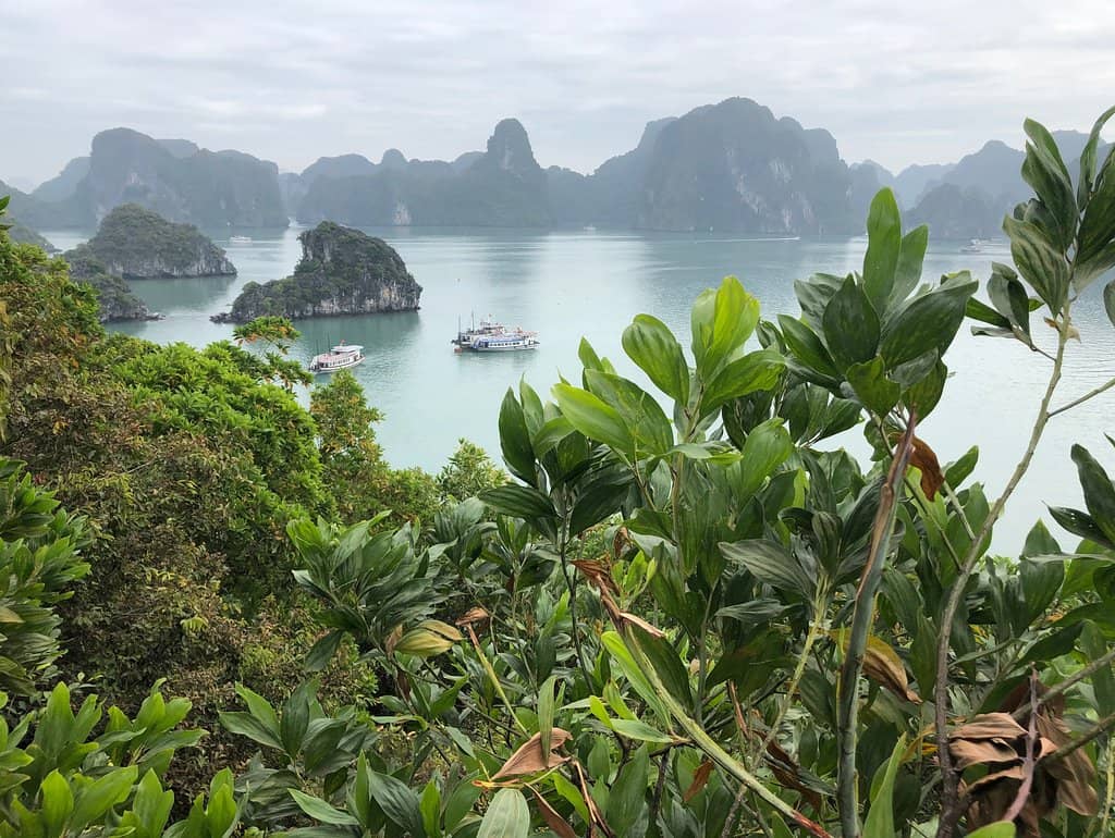 Island's Unique History