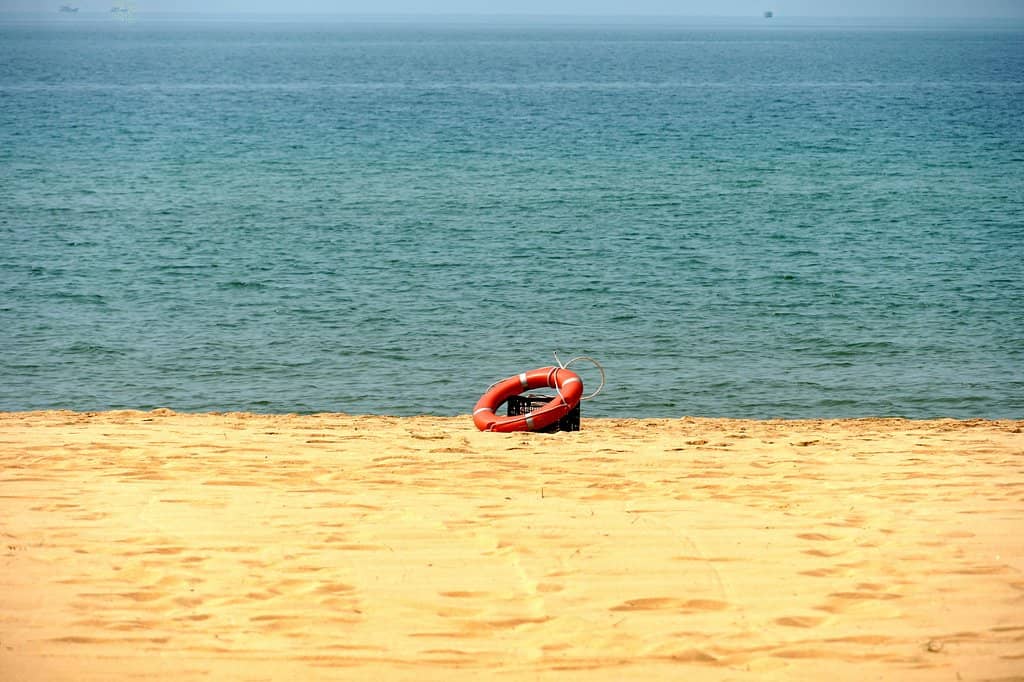 Tranquil Swimming Waters