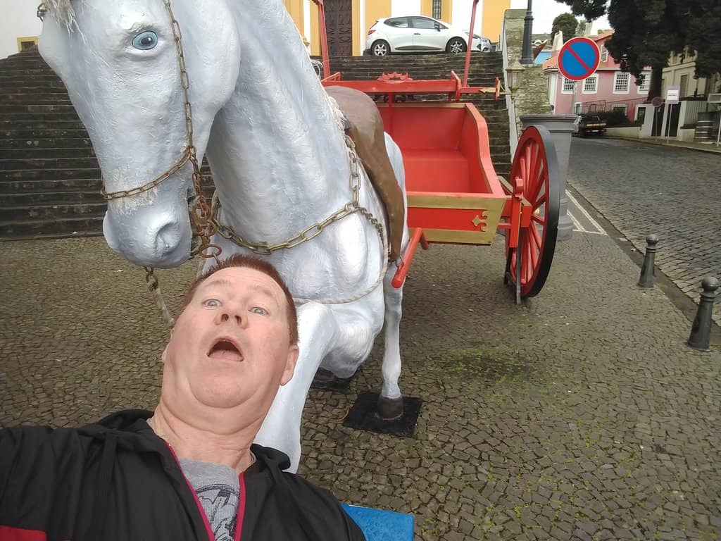 Guided Tour Insights