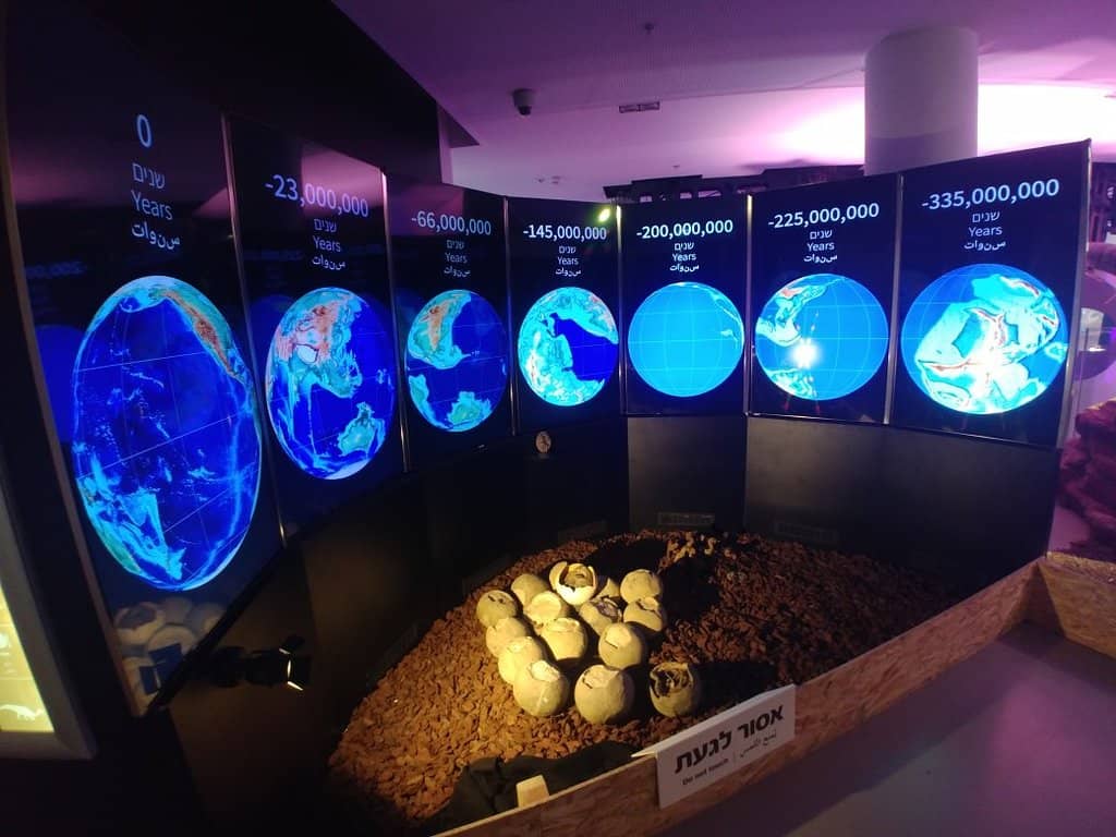 Outdoor Displays & Playground