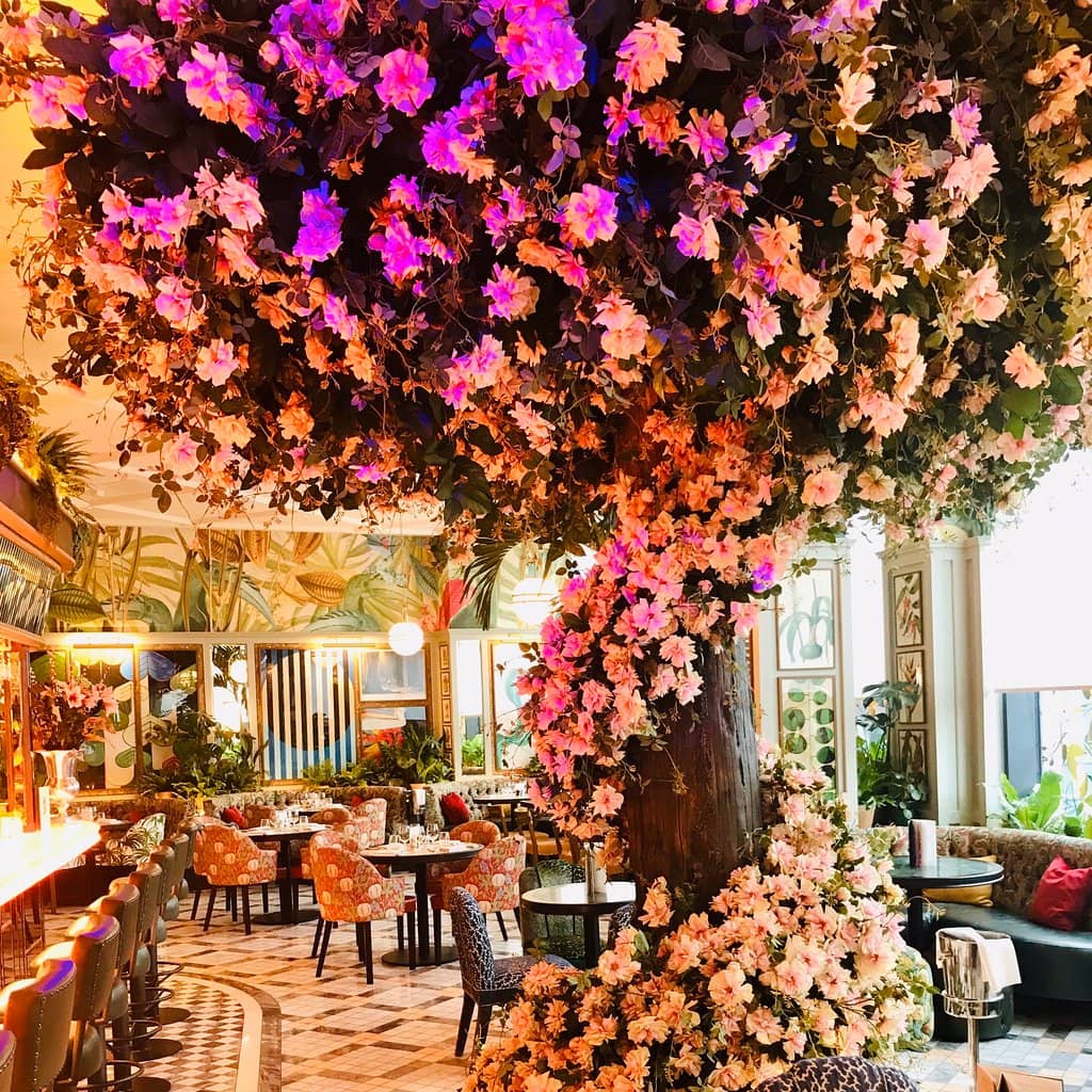 Signature Cocktails & Champagne