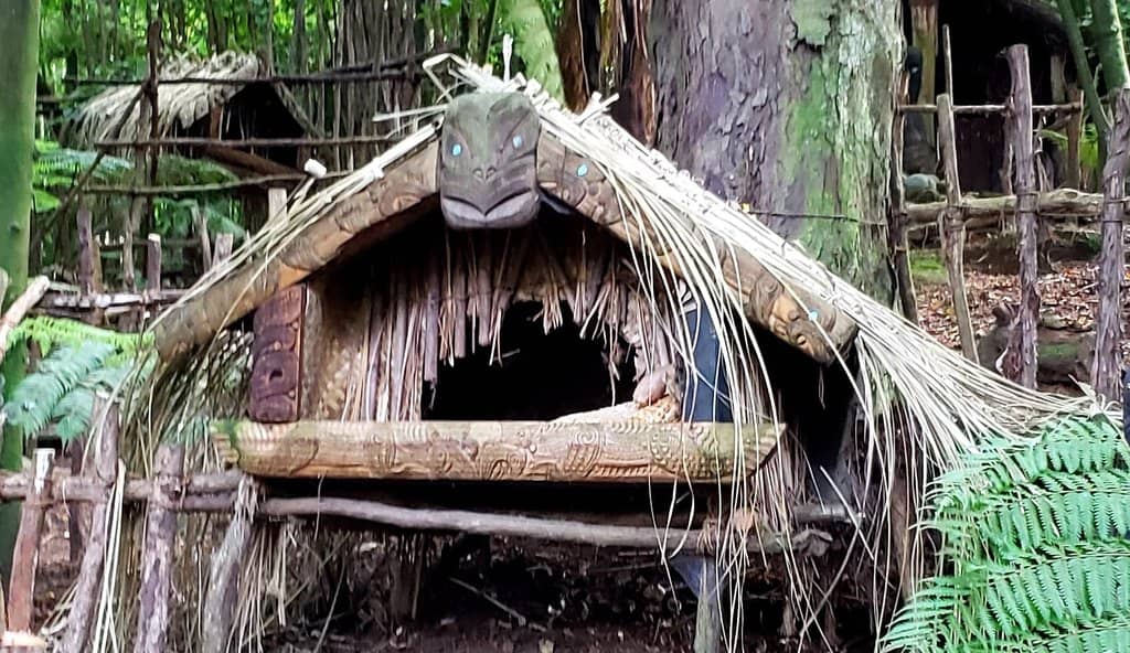 Guided Bush Walk & Glowworms