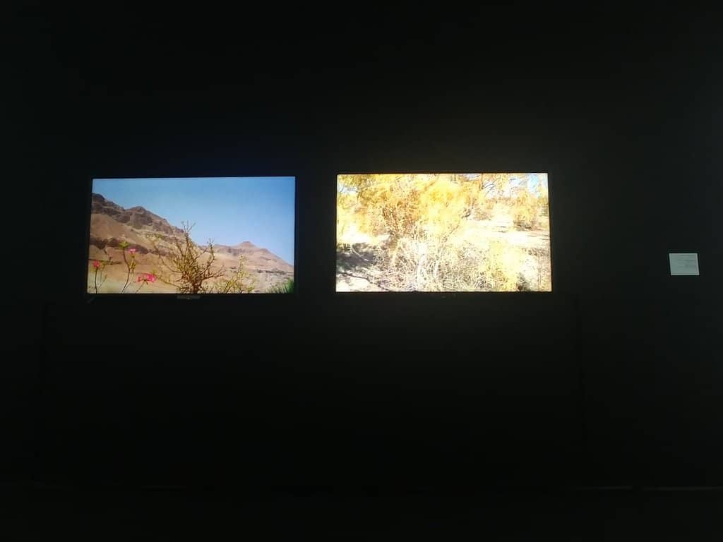 Islamic Museum Exhibits