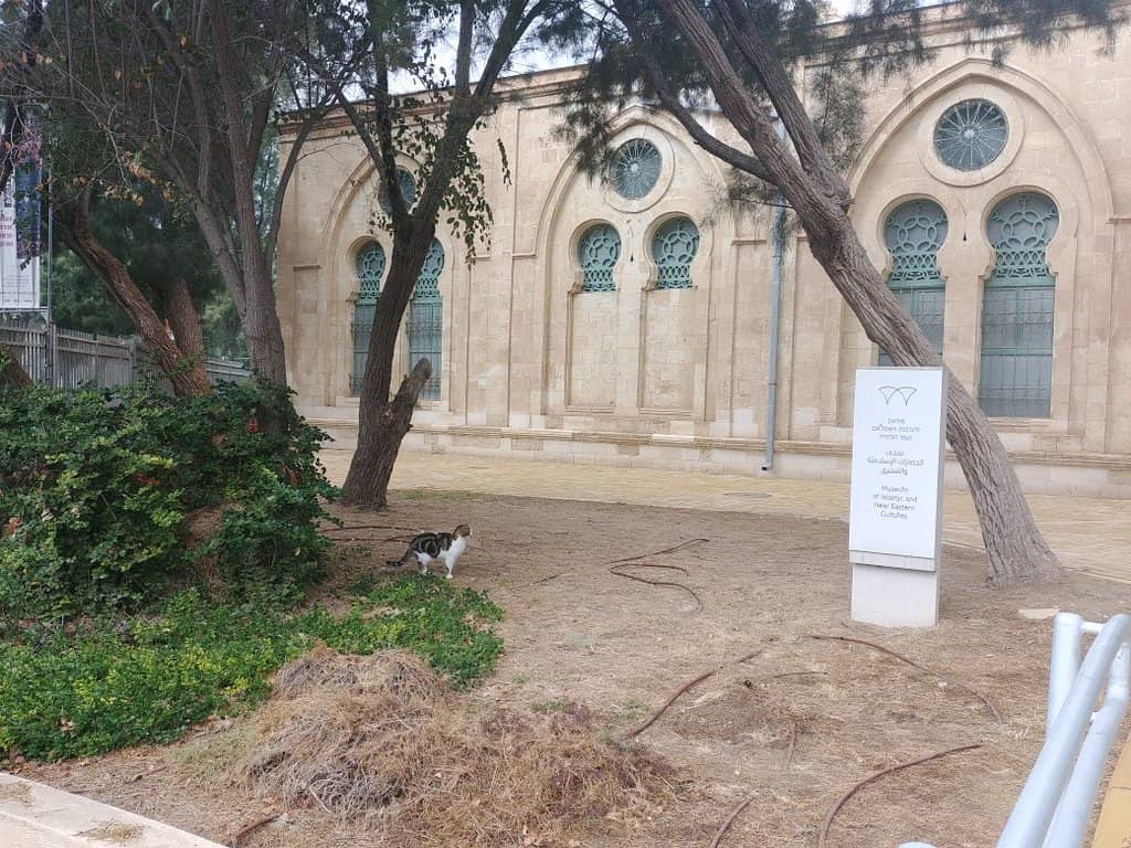 Rotating International Exhibitions