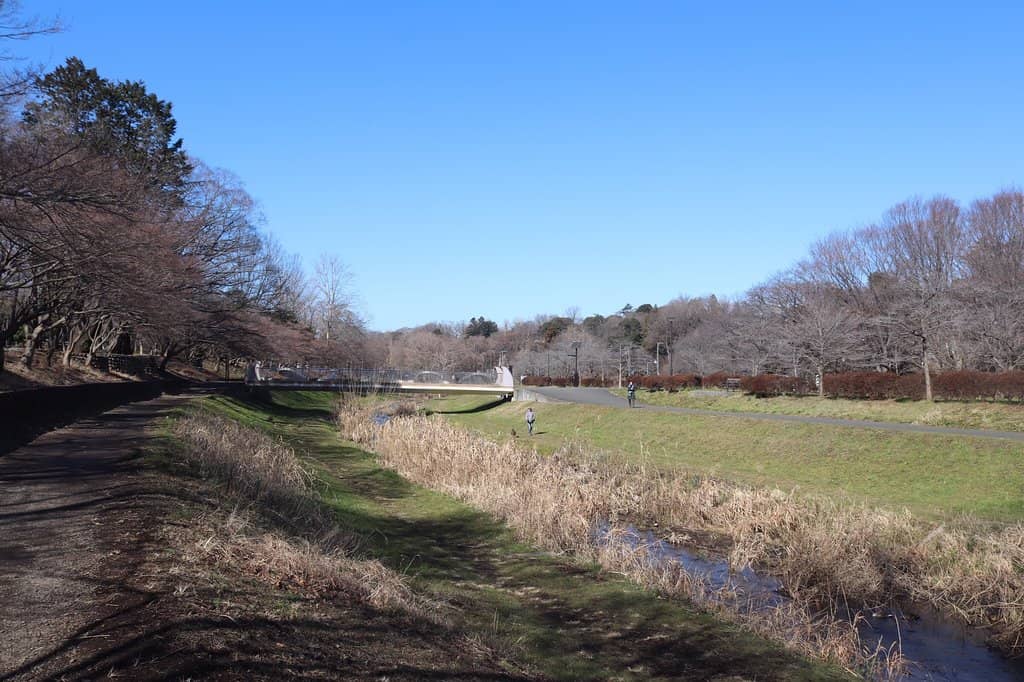 Open Fields & Playgrounds