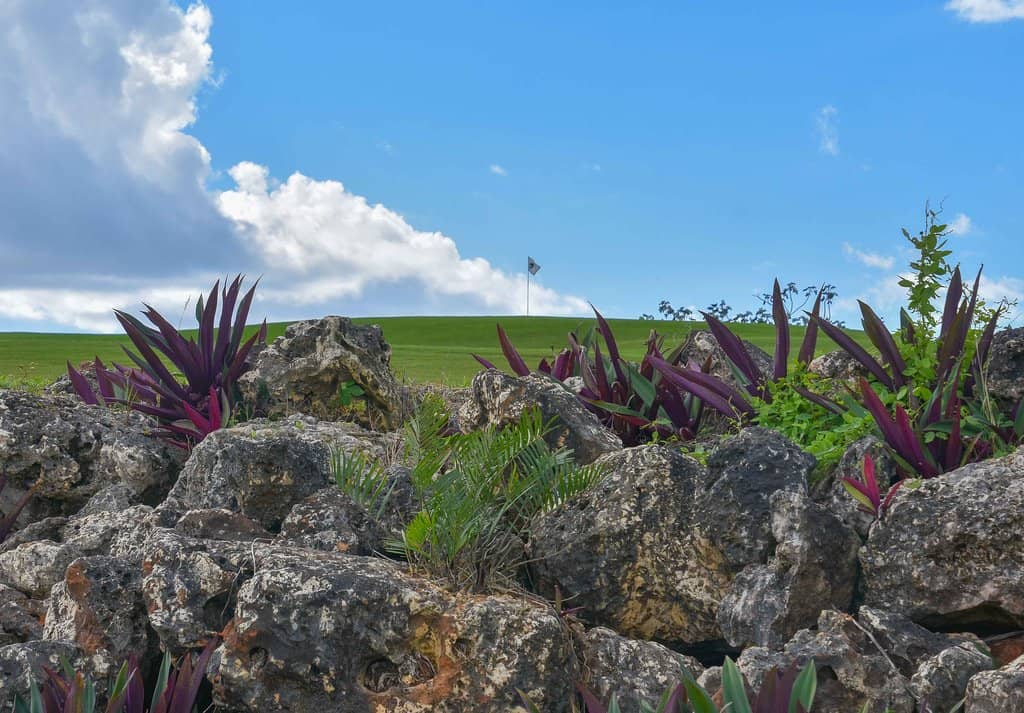 Panoramic Views of Altos de Chavón
