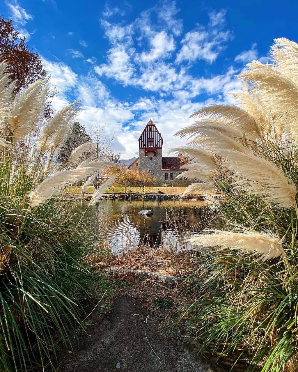 Trout & Duck Pond