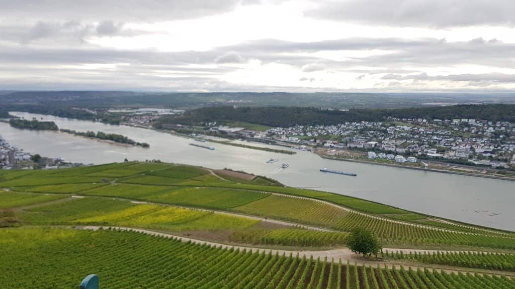 Rhine River Panorama