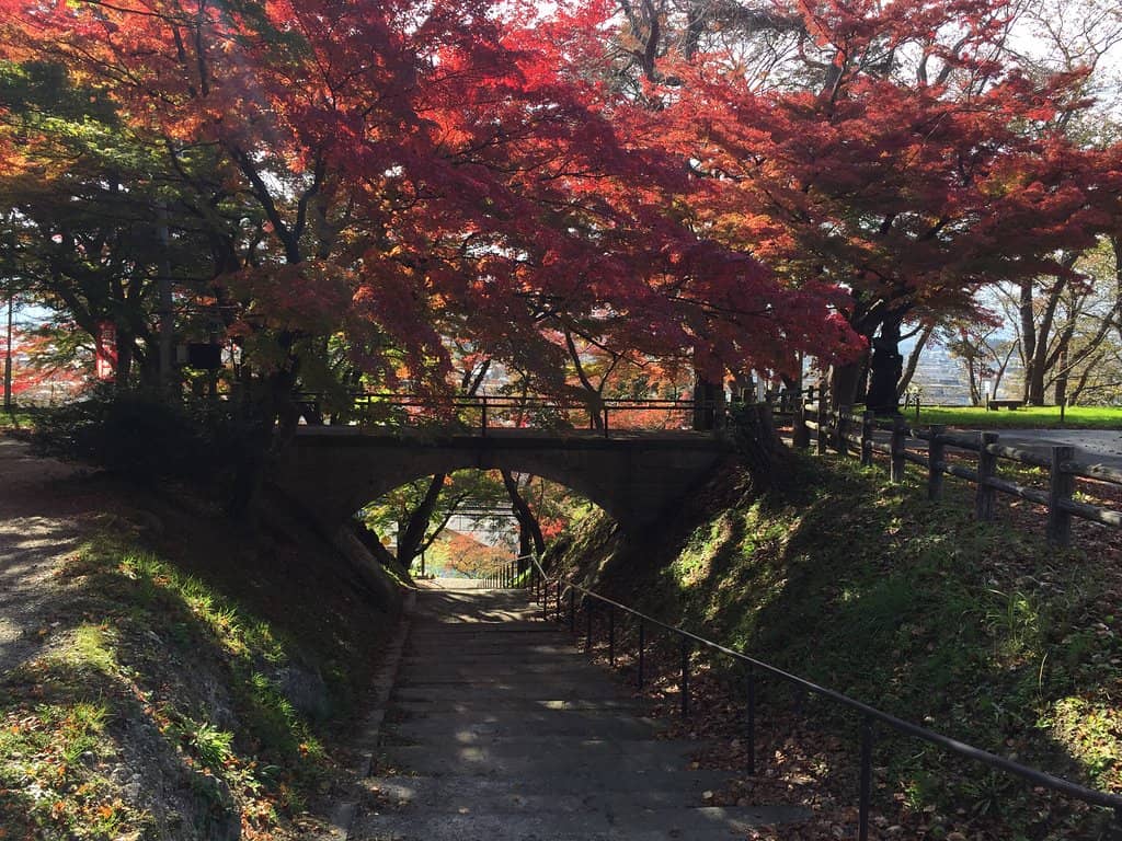 Natural Scenery & Off-Road Wandering
