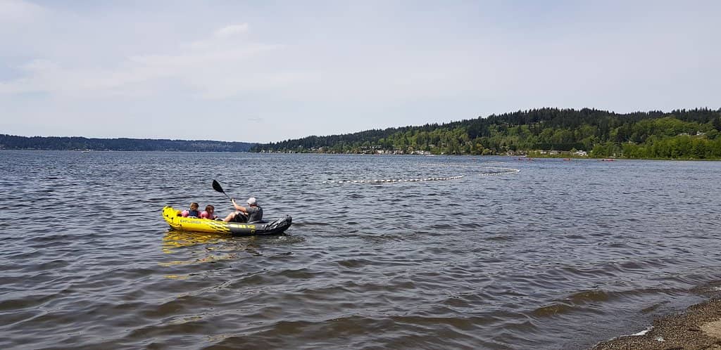 Family-Friendly Playground
