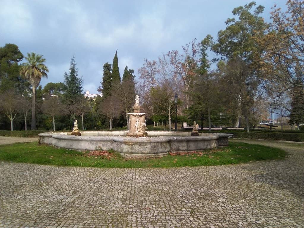 Functional Fountain