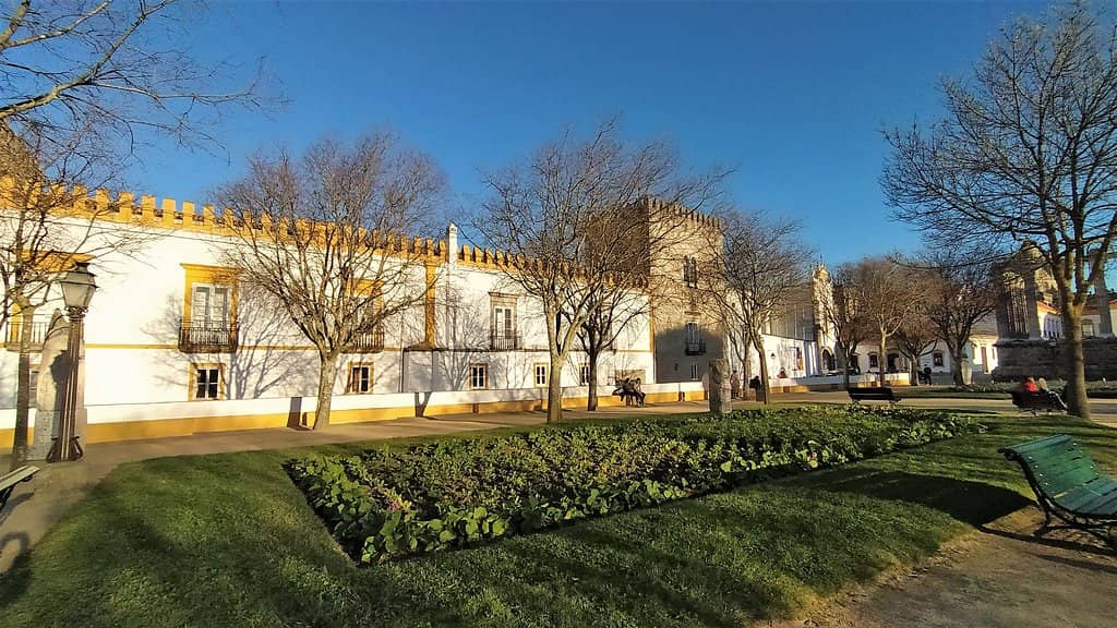 Tranquil Garden Ambiance