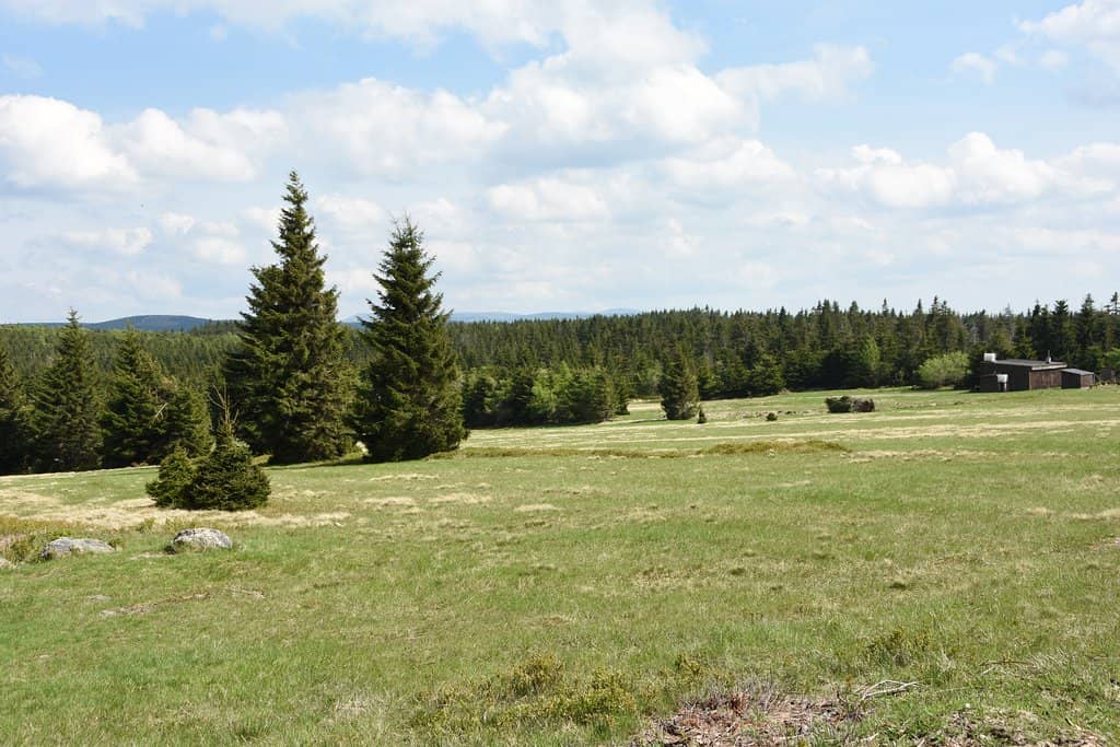 Izerski Park Ciemnego Nieba