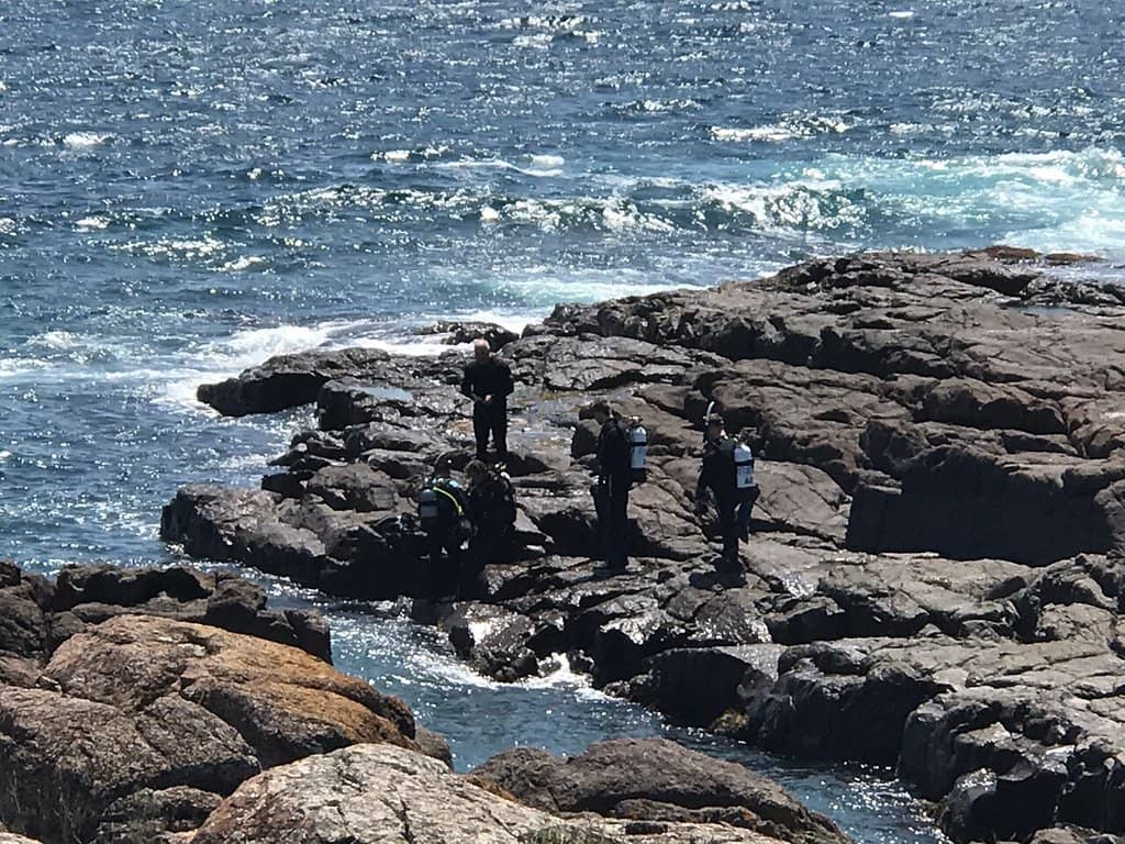 Coastal Walk Views