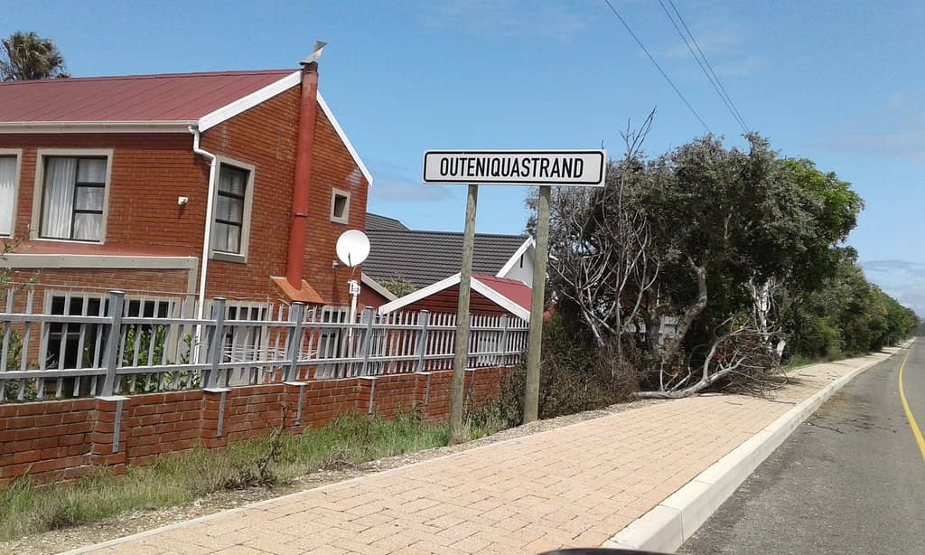 Bird Watching Paradise