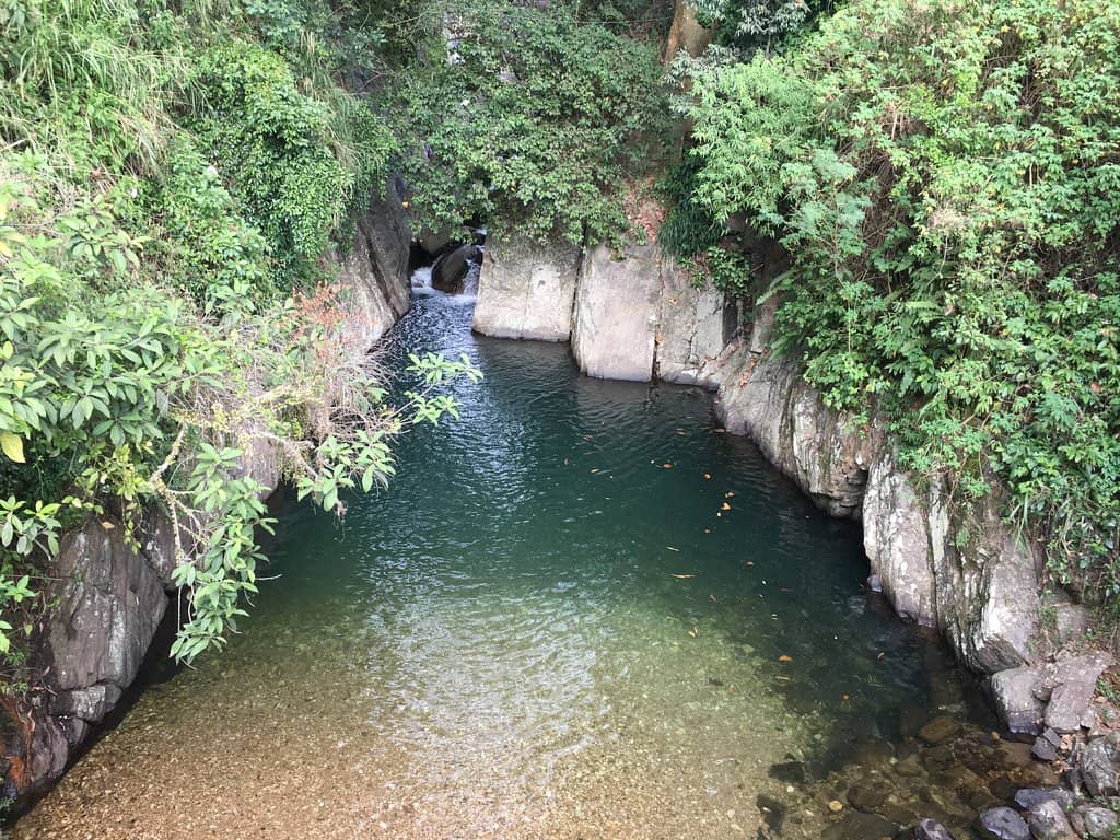 Vertical photo