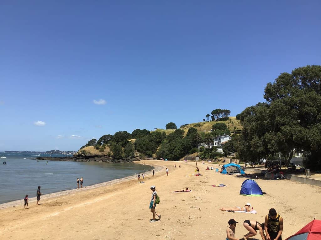 Low Tide Exploration