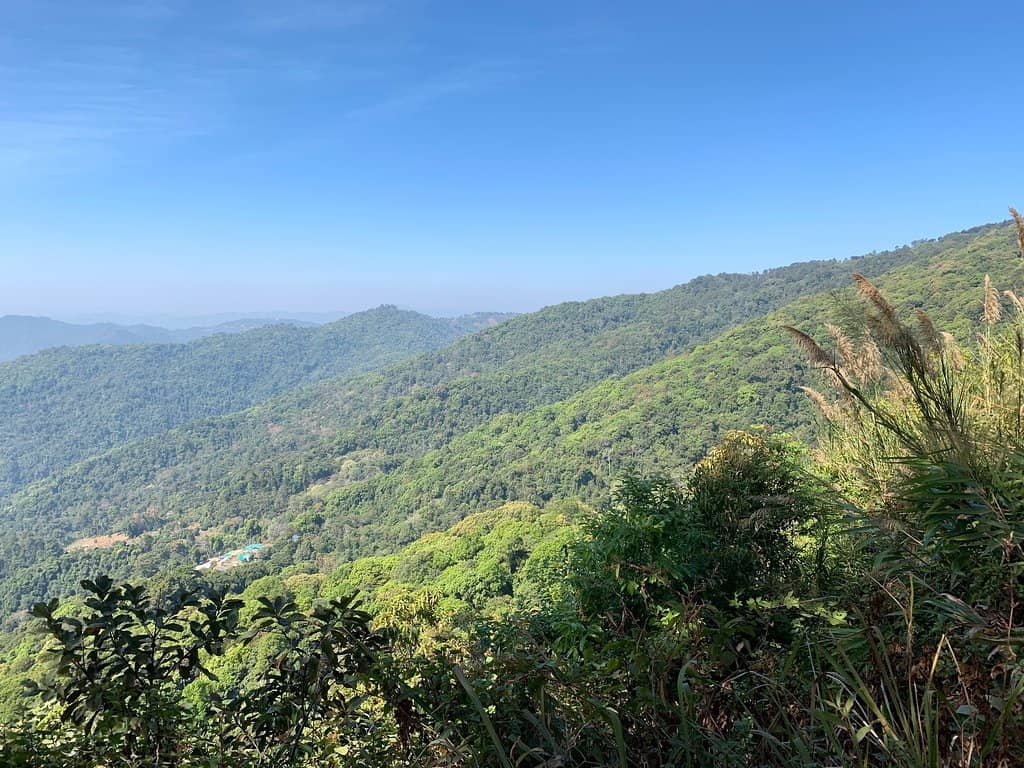 Cool Mountain Air