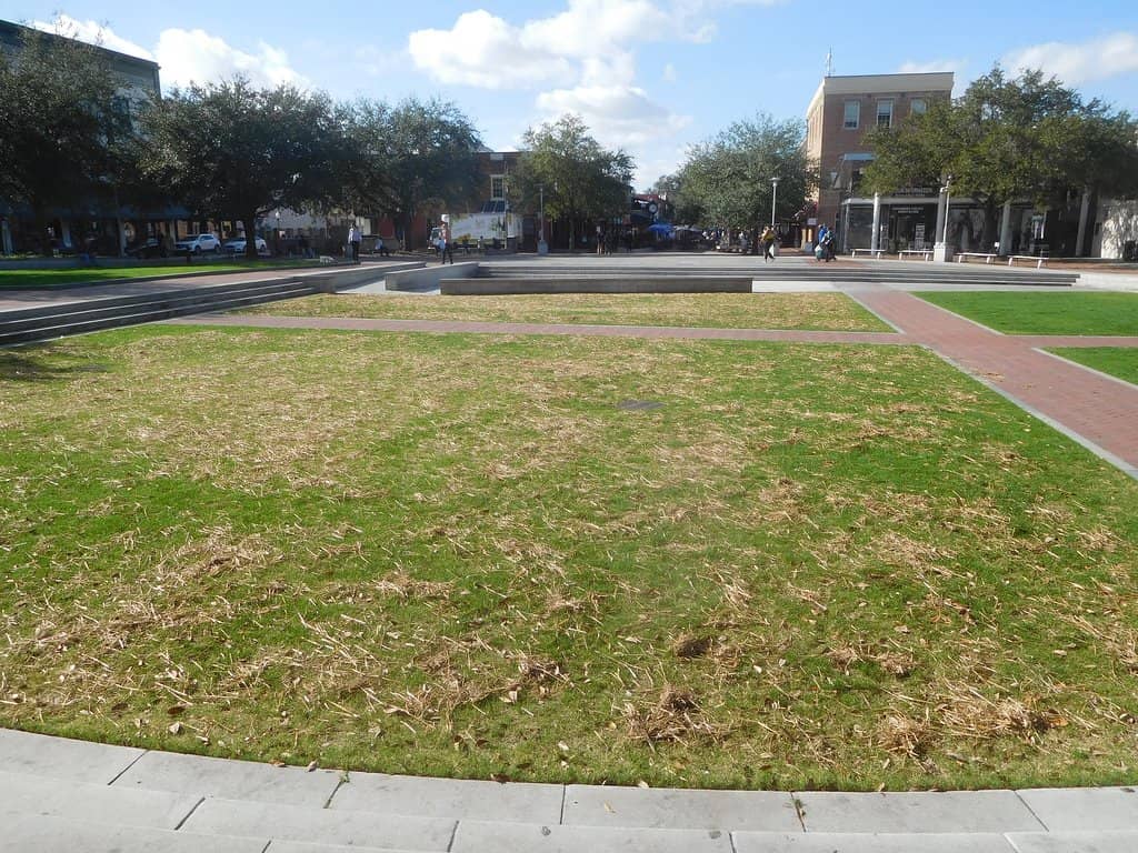 Ellis Square Splash Pad